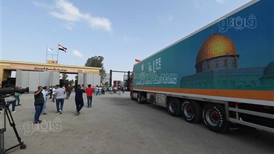 نواب: فتح معبر رفح واستقبال الحالات الإنسانية يؤكد دور مصر الداعم للقضية 