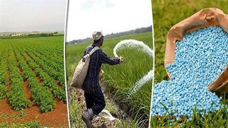 اليوم مناقشة دراسة