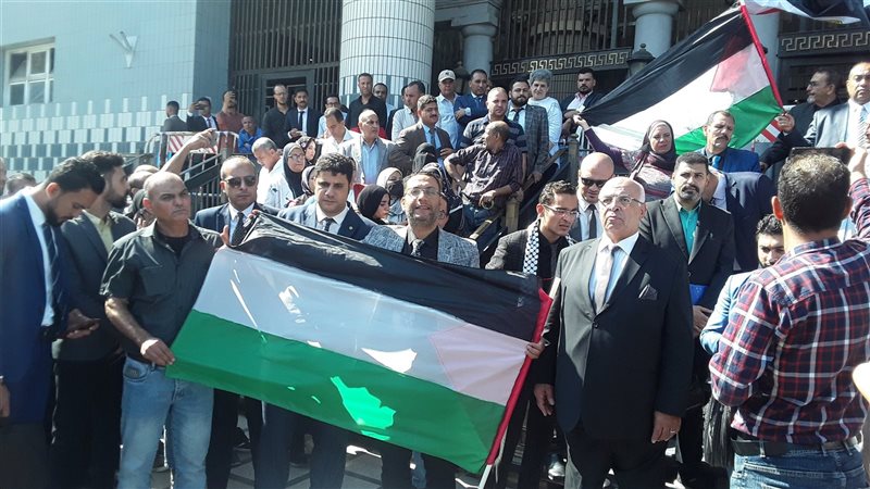  وقفة لمحامين الإسكندرية