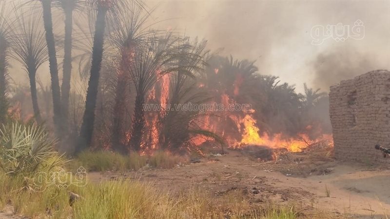 اندلاع حريق بمزرعة