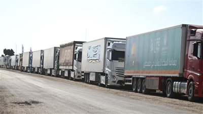 سائق شاحنة مساعدات أمام معبر رفح: مش همشي غير لما أدخل غزة وأسلم الأمانة لإخواننا (فيديو) 