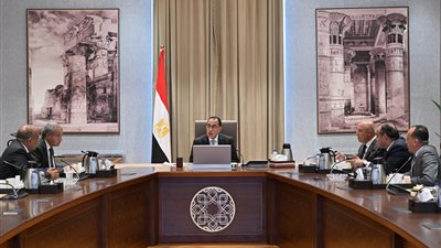 تفاصيل خطة تشغيل خطوط ملاحية منتظمة لنقل السلع والمنتجات الغذائية للدول الأفريقية