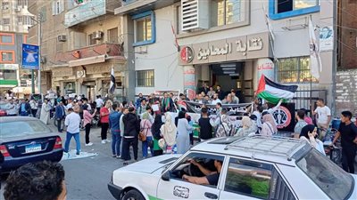 محامو المنيا ينتفضون لدعم القضية الفلسطينية، وقفات احتجاجية أمام المحاكم والمقرات 