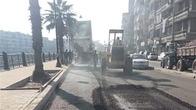 استكمال العمل بطريق دمنهور - شبراخيت ورفع 630 طن قمامة (صور)