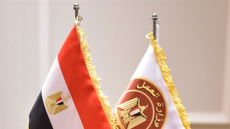 وزارة العمل،فيتو