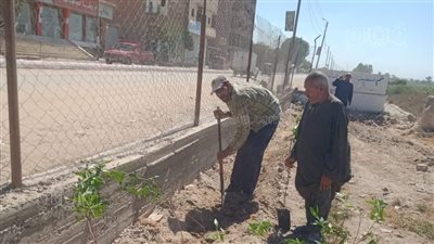 زراعة أشجار مثمرة وأخرى للزينة بمراكز المنيا ضمن مبادرة 100 مليون شجرة