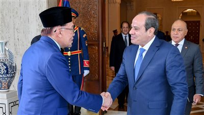 توافق مصري ماليزي على ضرورة وقف التصعيد وتوفير الحماية للفلسطينيين