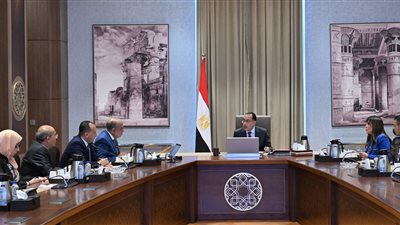 مدبولي يبحث مع وزير قطاع الأعمال تنفيذ مستهدفات وثيقة سياسة ملكية الدولة 