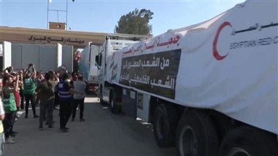 عبور 20 شاحنة جديدة تحمل مساعدات لغزة عبر معبر رفح البري (فيديو)