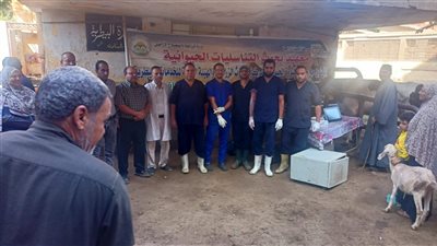 الزراعة: علاج وفحص أكثر من 2900 رأس ماشية مجانا بالمنوفية