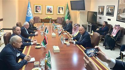 اجتماع تنسيقي لوزراء الخارجية العرب في نيويورك قبل جلسة مجلس الأمن (صور)