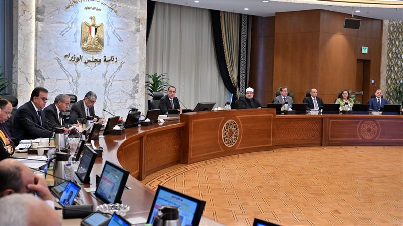 مجلس الوزراء، فيتو