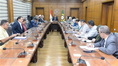 محافظ الدقهلية يجتمع بالجهاز التنفيذي لمتابعة ملفات العمل والمشروعات الجاري تنفيذها