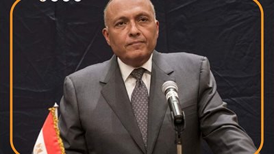  رسائل نارية من سامح شكري بشأن فلسطين أمام مجلس الأمن الدولي (إنفوجراف)