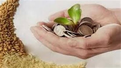 ما حكم إخراج الزكاة بناء على السنة الميلادية وبيان كيفية ذلك؟ الإفتاء تجيب