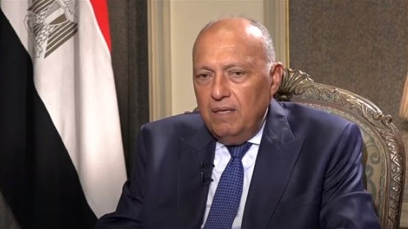 سامح شكرى وزير الخارجية،فيتو