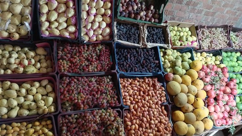 الفاكهة اليوم في