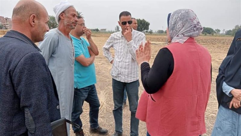 جولات قش الارز، فيتو