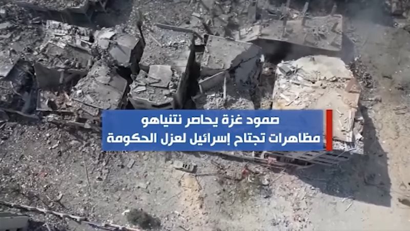 تقارير نوعية عن صمود