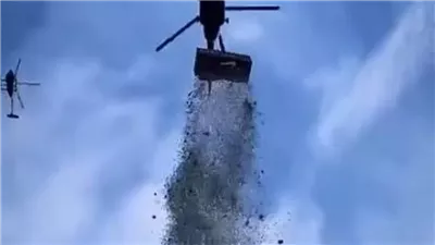 ممثل يلقي مليون دولار من مروحية على الجمهور (فيديو)