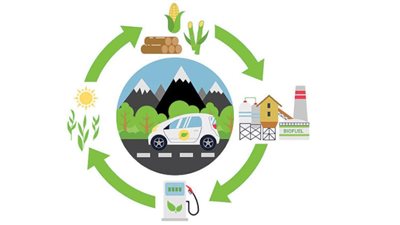 الوقود الحيوي بين مستقبل الطاقة النظيفة وتهديد الأمن الغذائي.. مميزاته وتأثيره على المحاصيل.. وهذه أهداف التحالف العالمي