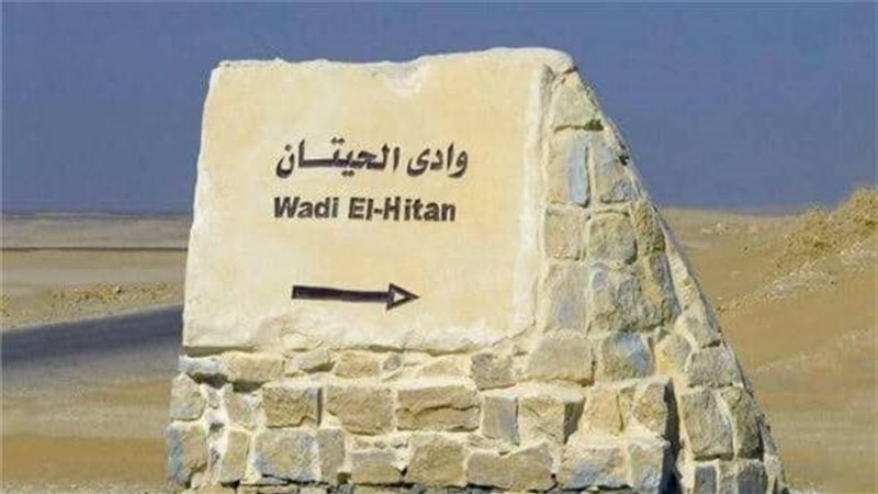 وادي الحيتان بالفيوم،