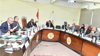 وضع آليات الخطة التطويرية لجامعة الوادي الجديد 