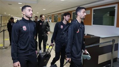 الدوري الأفريقي، الأهلي يصل إلى مطار جوهانسبرج (فيديو)
