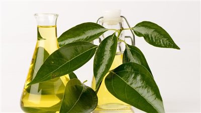 فوائد زيت الكافور للشعر، يقويه ويعالج تساقطه