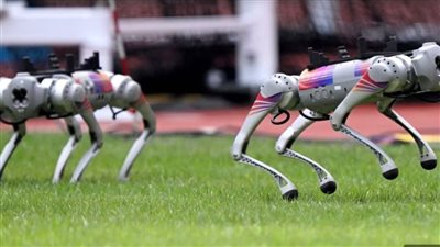 فشل في الإجابة عن الأسئلة، الروبوت الجاهل