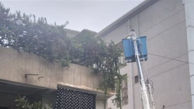 حملات مكثفة لصيانة أعمدة الإنارة وشبكات الكهرباء بالمنوفية