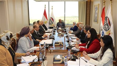 وزير قطاع الأعمال العام: تصنيع سيارات نصف نقل بالتعاون مع شركة هندية 