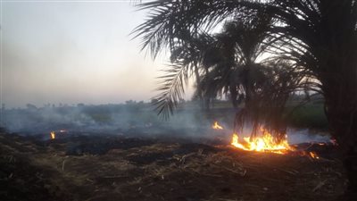 تحرير 54 محضرا لمخالفات الحرق المكشوف بأسيوط