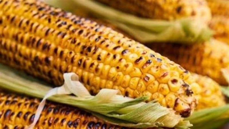 تفسير حلم أكل الذرة