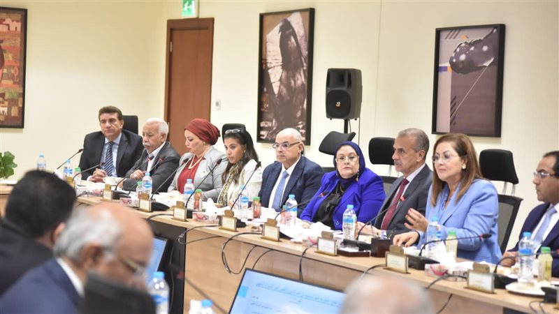 المجلس القومي للأجور،فيتو