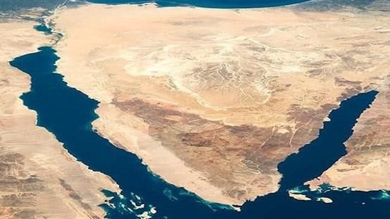 سيناء،فيتو