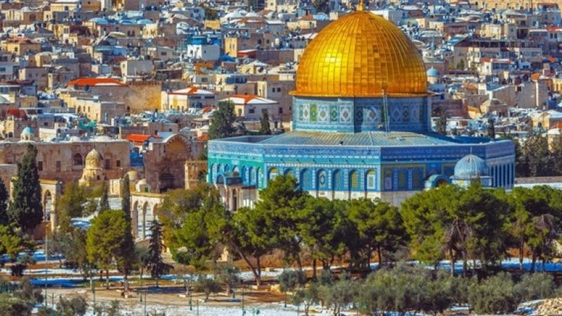 فلسطين،فيتو