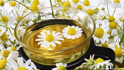 فوائد البابونج، يقلل الالتهابات ويساعد على النوم الجيد