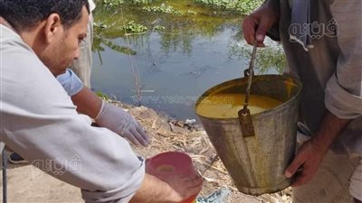 فحص وعلاج 5154 مجرى مائي لمكافحة ناقلات ومسببات الأمراض المتوطنة بالمنيا