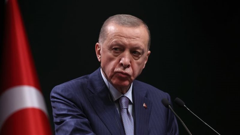 أردوغان، فيتو 
