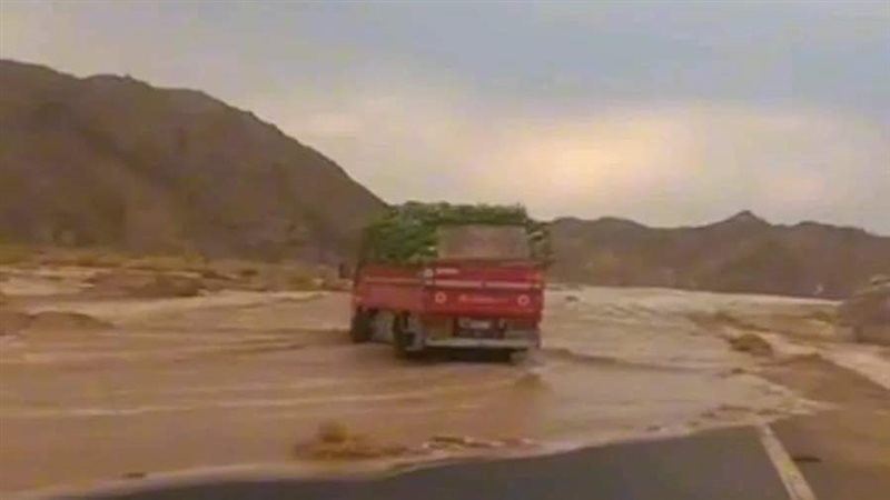 طريق دهب،فيتو