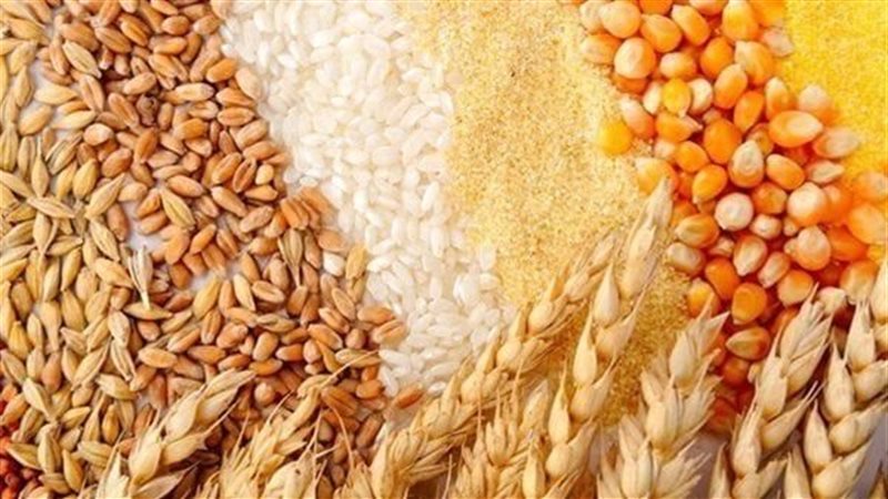 أسعار الأعلاف والحبوب