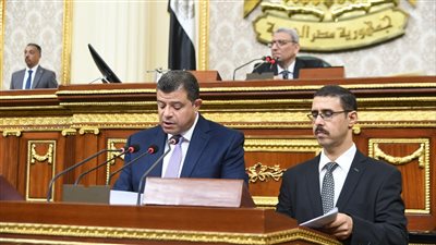  رئيس محلية النواب: أزمة النقد الأجنبي تؤثر في توطين الصناعة