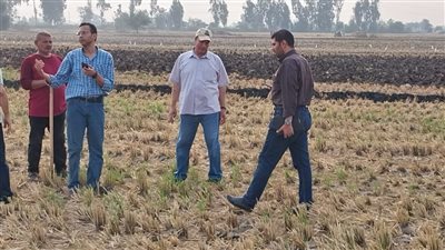 البيئة: متابعة على مدار الساعة لإحكام السيطرة على نوبات تلوث الهواء الحادة