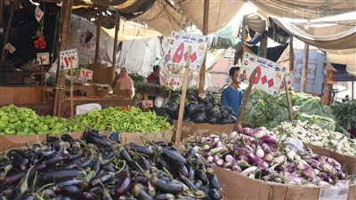 أسعار الخضراوات اليوم، انخفاض 13 صنفًا في سوق العبور أبرزها الفلفل والباذنجان