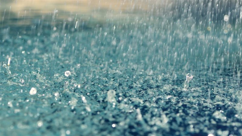 دعاء المطر، فيتو