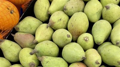  أسعار الفاكهة اليوم، 35 جنيهًا أعلى سعر لكيلو الكمثرى في سوق العبور