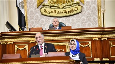 النواب يوافق على إنشاء القومي للطفولة والأمومة ونقل العاملين في المجلس الحالي