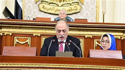 يتبع رئيس الجمهورية، تفاصيل أهداف وضوابط تشكيل القومي للأمومة والطفولة