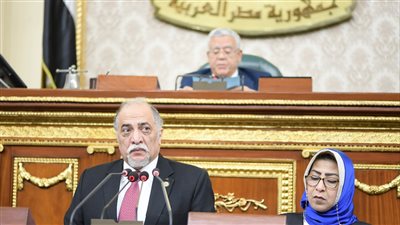 مجلس النواب يوافق على تفرغ رئيس القومى للطفولة والأمومة ونائبه لمهام عملهما